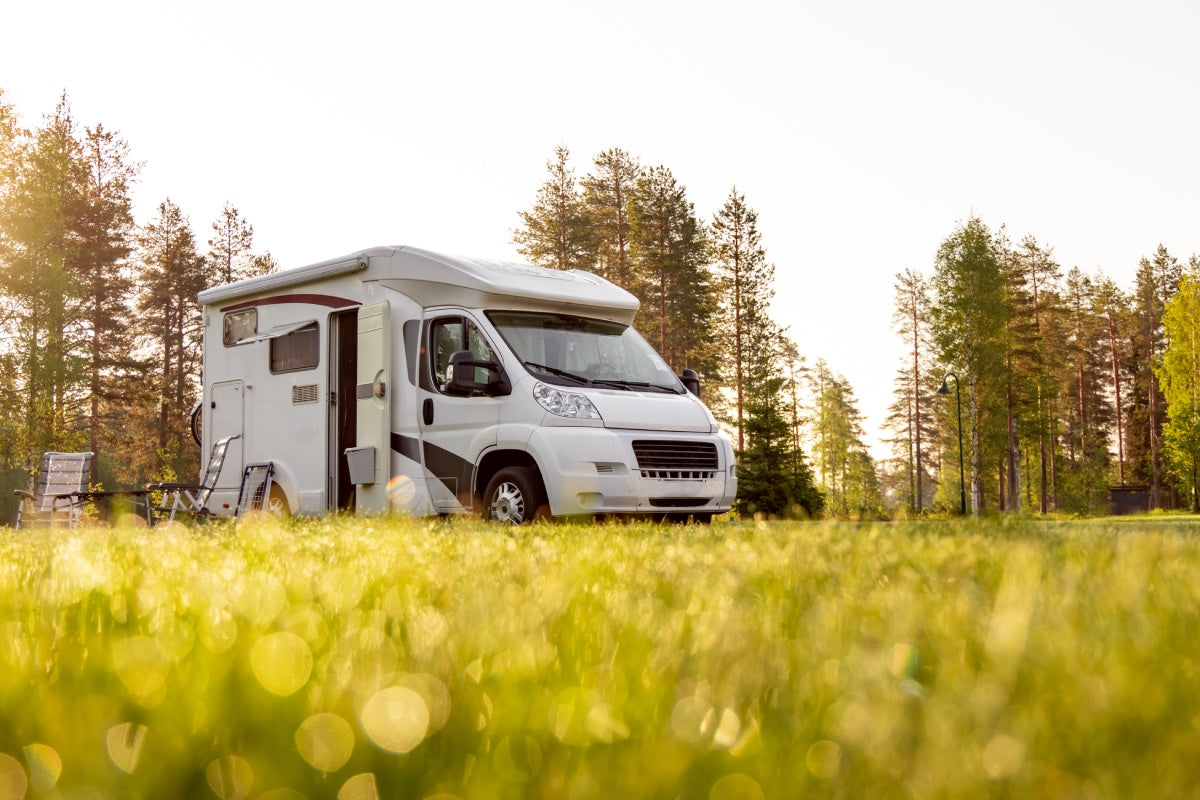 Wohnmobil auf einer Wiese am Waldrand in der Abendsonne