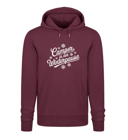 Camper im Winter - Damen Organic Hoodie - LazyDonkeyDesign 